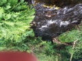20170706_173603